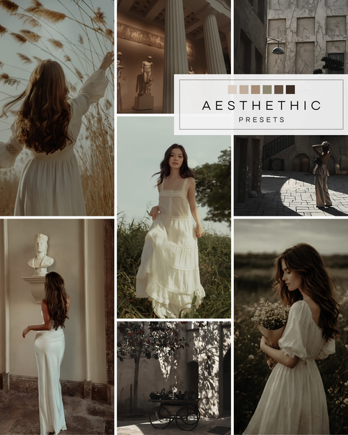 Aesthetic  Photo Preset Pack