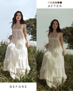 Aesthetic  Photo Preset Pack