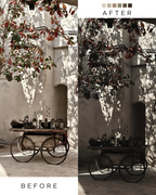 Aesthetic  Photo Preset Pack